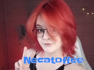 necatoffee Mausi Privat