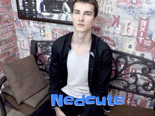 Nedcute
