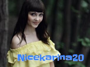 Nicekarina20