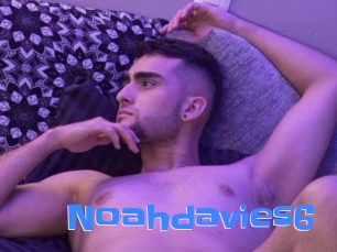 noahdavies6 Mausi Privat