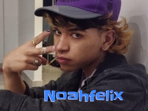 noahfelix Mausi Privat