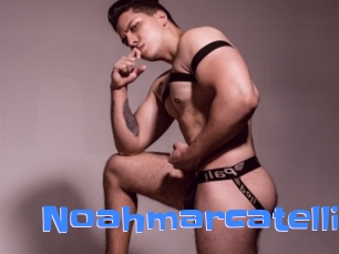 noahmarcatelli Mausi Privat