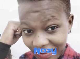 Nozy