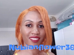 nubianflower36 Mausi Privat