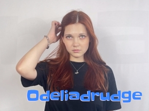 Odeliadrudge