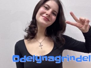 Odelynagrindel