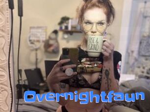 Overnightfaun