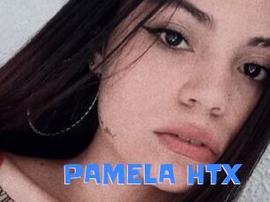 PAMELA_HTX
