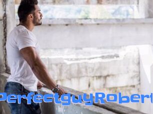 PerfectguyRobert