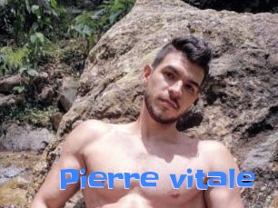 Pierre_vitale