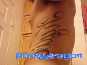 Poofydragon