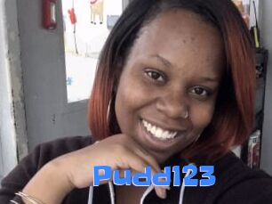 Pudd123