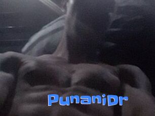 PunaniDr