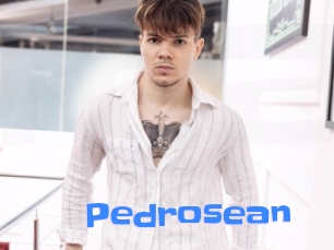 pedrosean Mausi Privat