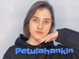 Petulahankin