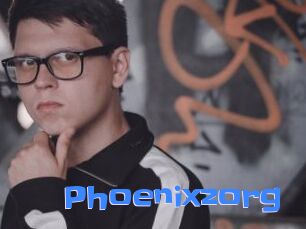 Phoenixzorg
