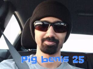 Pig_benis_25