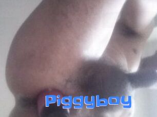 Piggyboy