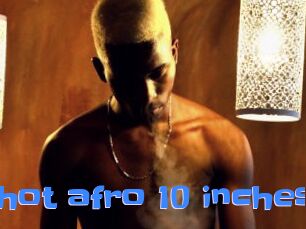 Pipe_hot_afro_10_inches