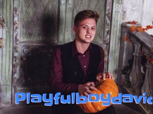 Playfulboydavid