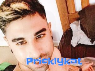 Pricklykat
