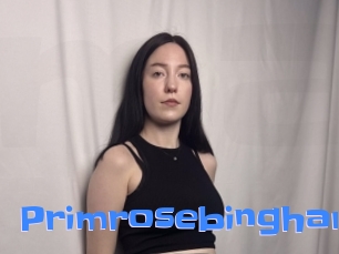 primrosebingham Mausi Privat