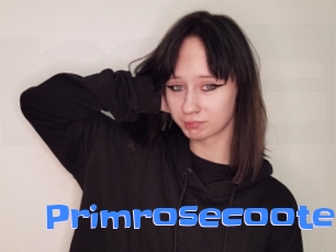 Primrosecoote