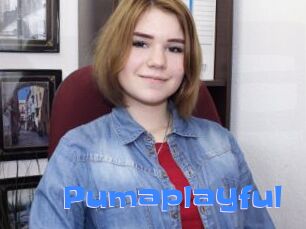 Pumaplayful