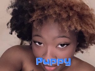 Puppy