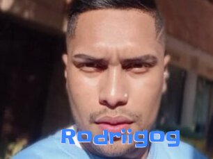 Rodriigog