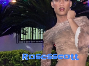 rosesscott Mausi Privat