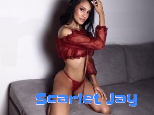 Scarlet_Jay