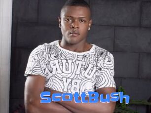 ScottBush