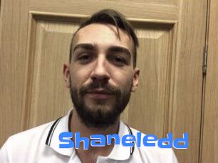 Shane_ledd