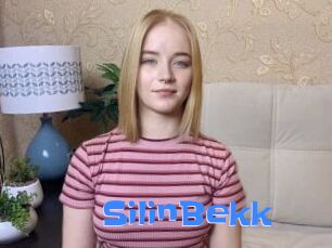 SilinBekk
