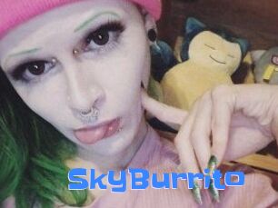 SkyBurrito