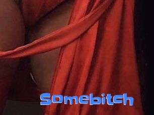 Somebitch