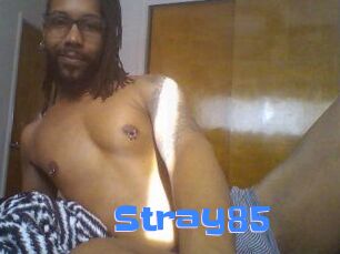 Stray85