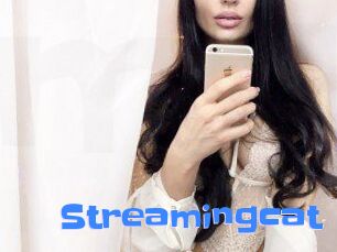 Streamingcat