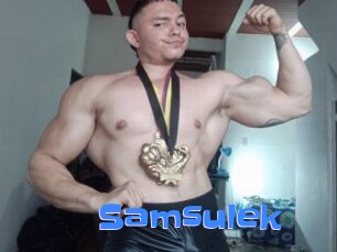 Samsulek