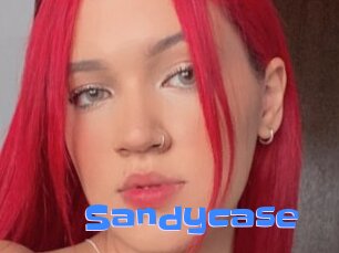 Sandycase