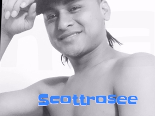 Scottrosee
