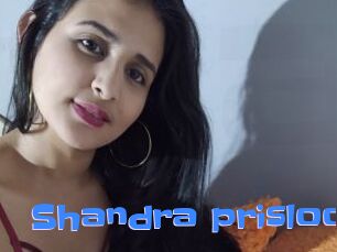 Shandra_prisloo
