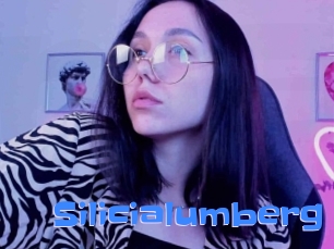 Silicialumberg