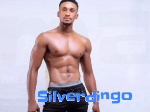silverdingo Mausi Privat