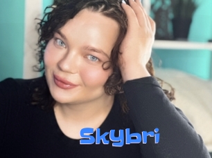 Skybri