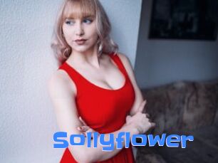 Sollyflower
