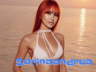 sorinaandrea Mausi Privat