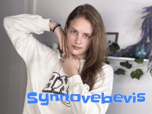 Synnovebevis