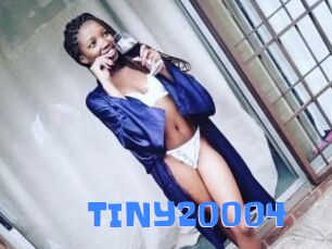 TINY20004